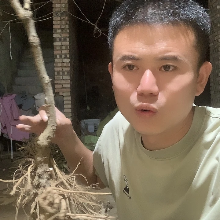 宝***油当前无花栽培后可以开花