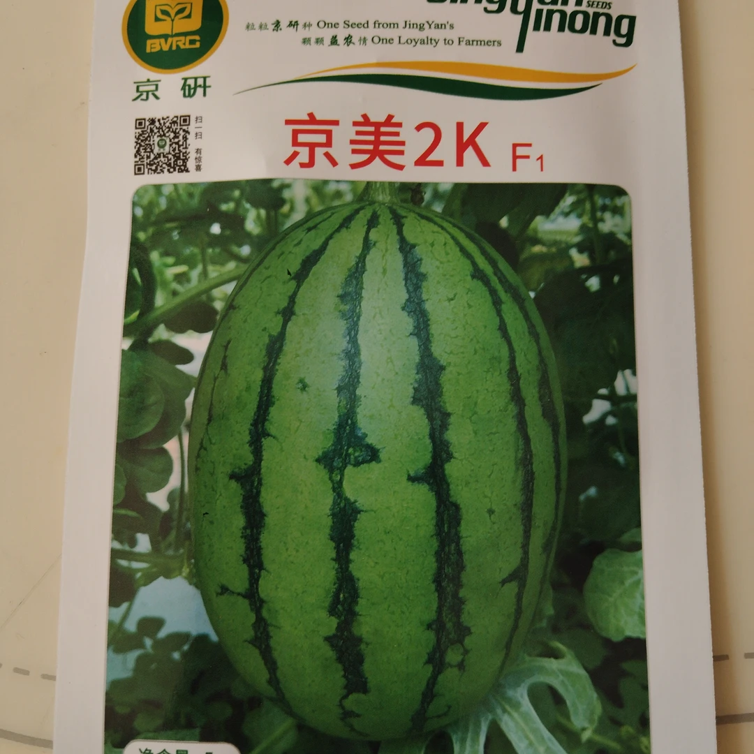京美二k红壤礼品西瓜种子270粒