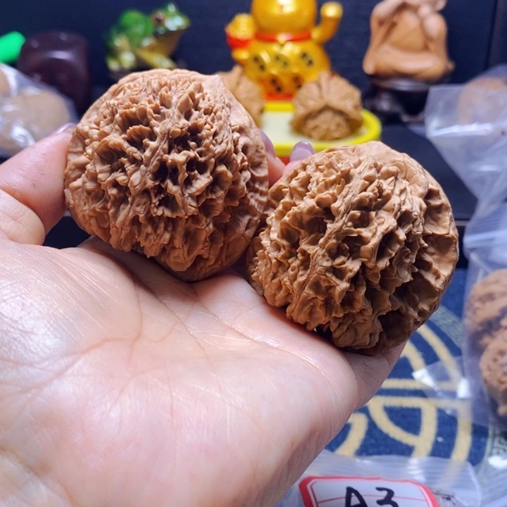 听***书文玩核桃把件特价：大花