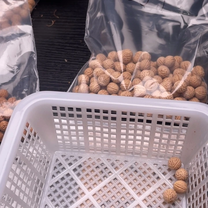 【闪购商品】核桃其他沐*私人定制，不退不换100