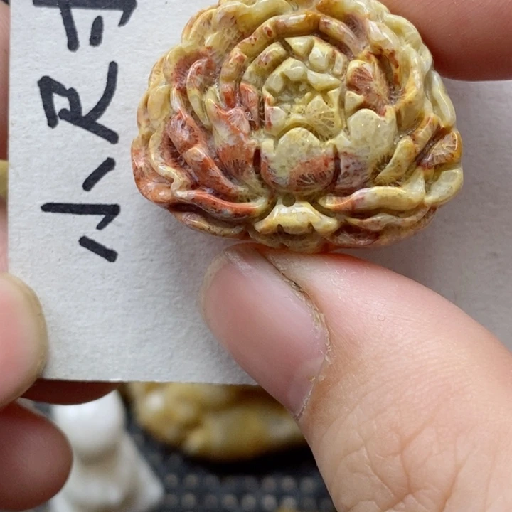 颈饰未镶嵌硅化珊瑚（珊瑚玉）