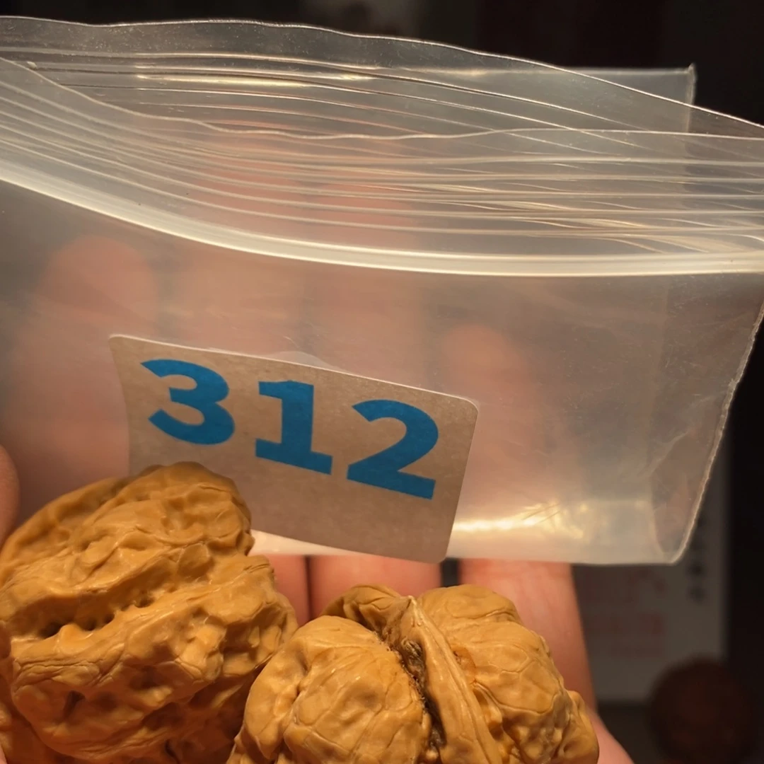 文玩核桃把件去****吧文玩核桃把件