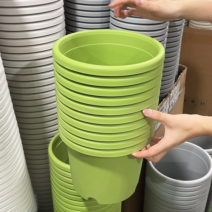 特价3号口21高18果绿色10支无托