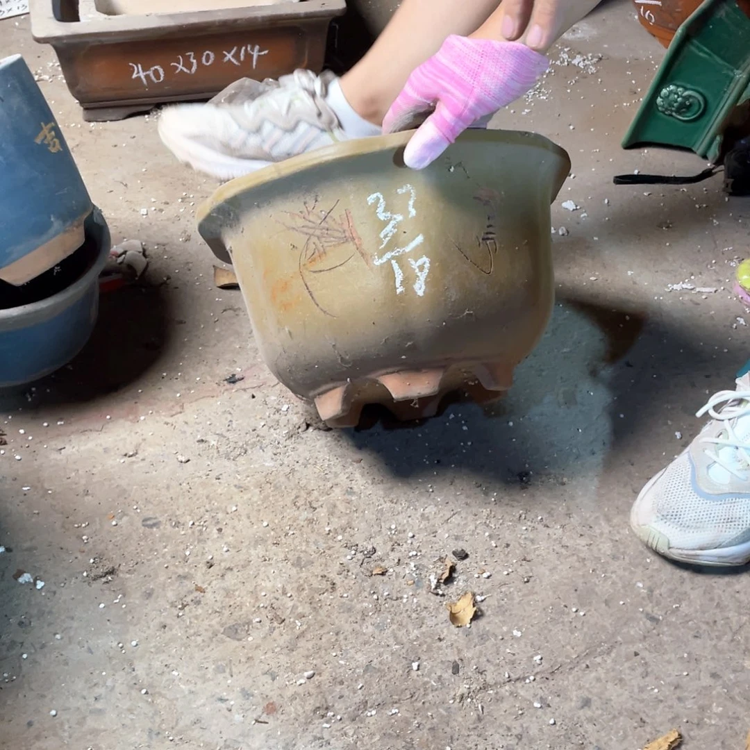 紫砂花盆紫砂之梦