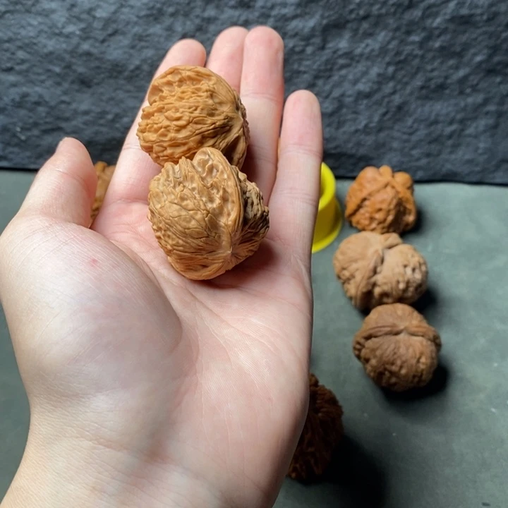 小***哥核桃等经济林果地的