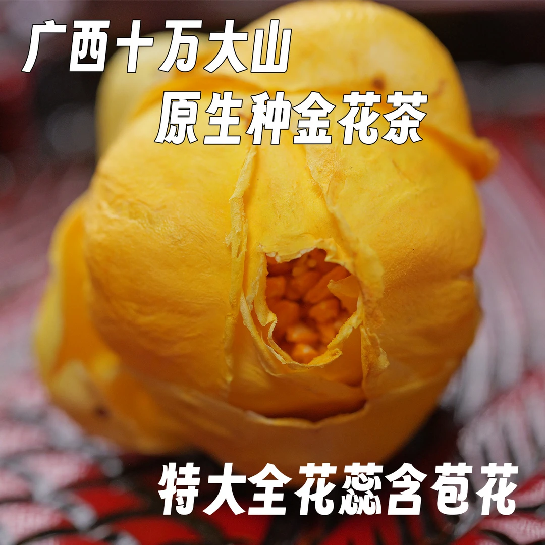 广西十万大山原生种金花茶 特大金鱼嘴全花蕊冻干花