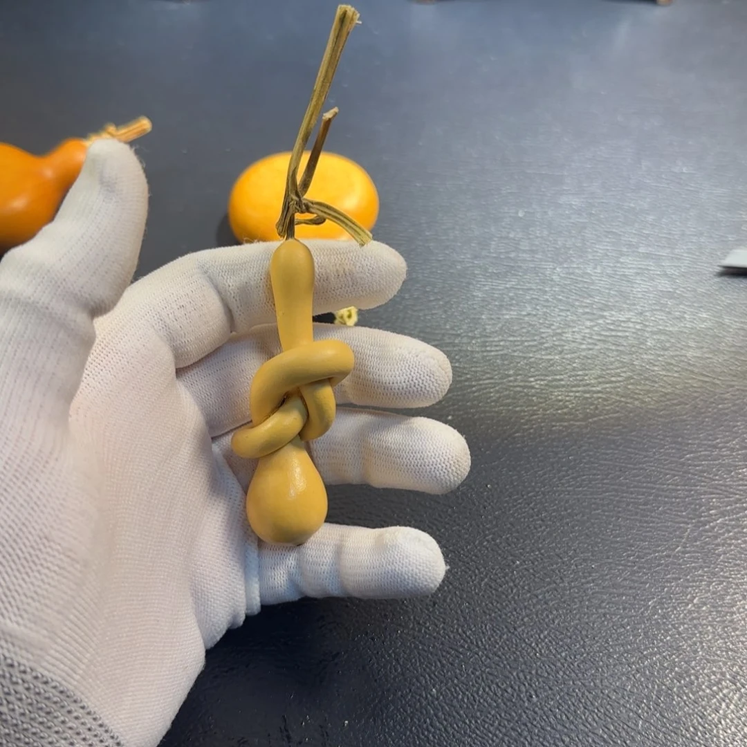 顾***飞11111111111111111111