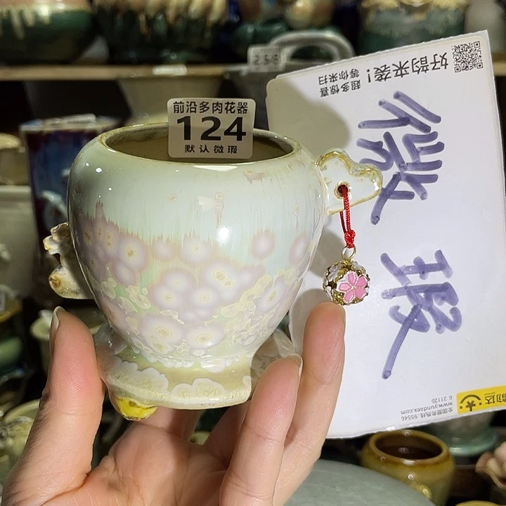 狼盆内口径6高度8