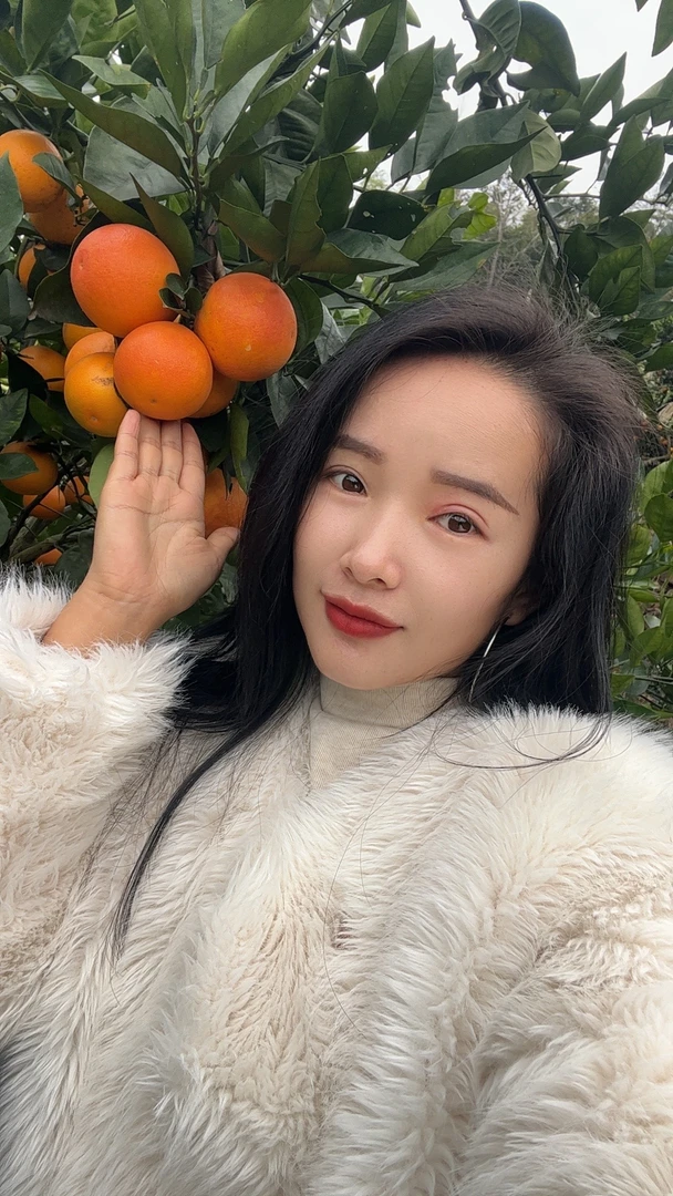 麻阳血橙酸甜可口
