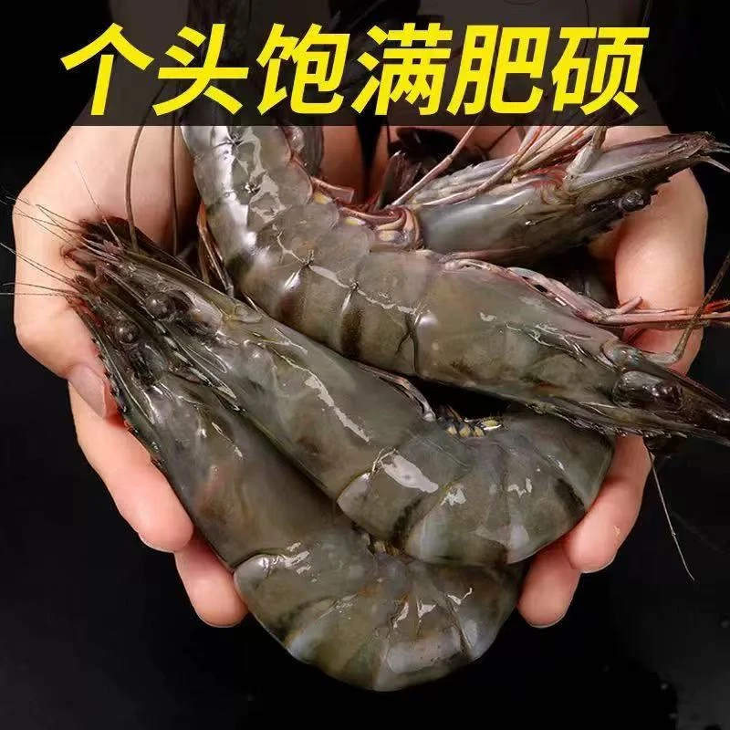 活虾速冻大虾王新鲜黑虎虾规格2125净重3斤/盒