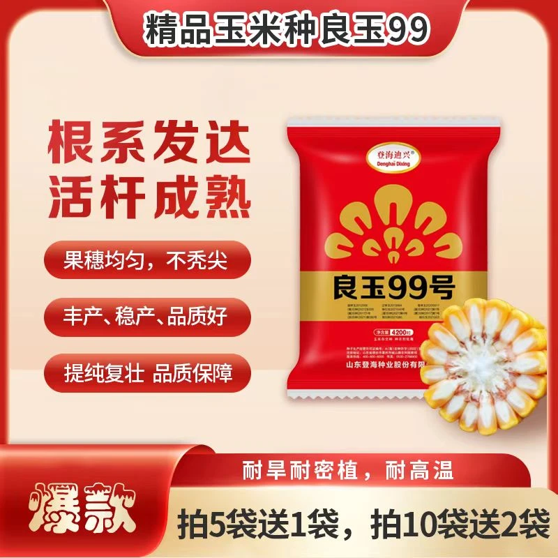 登海良玉99精品玉米种