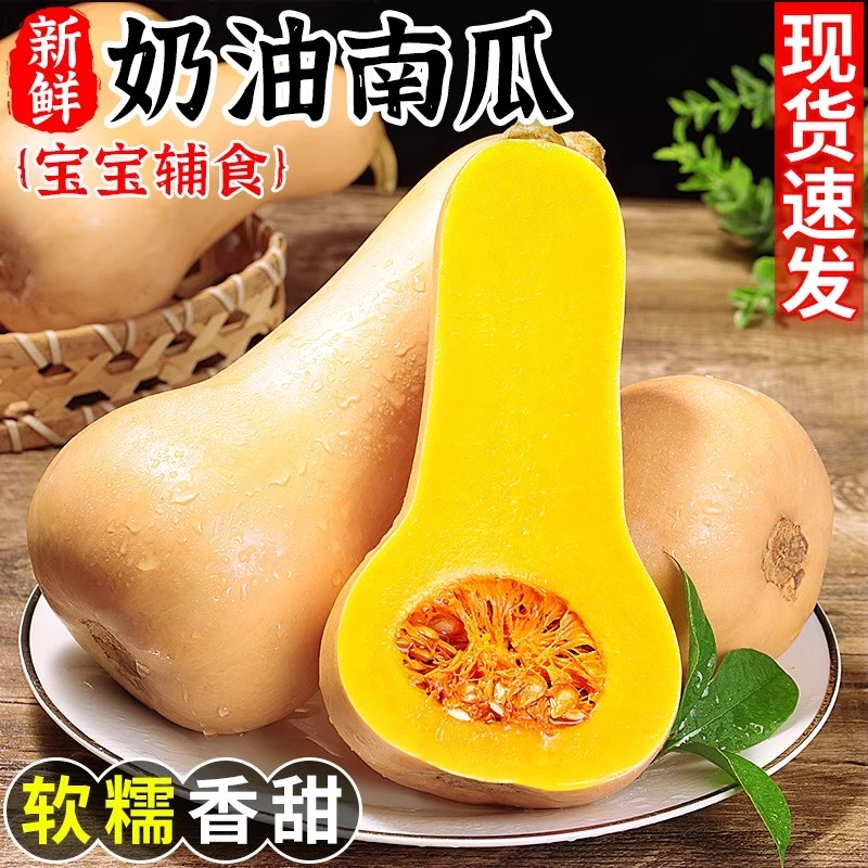 dq【生熟两吃】粉蛮腰2号超甜奶油南瓜蜜本南瓜软糯香甜非贝贝南瓜