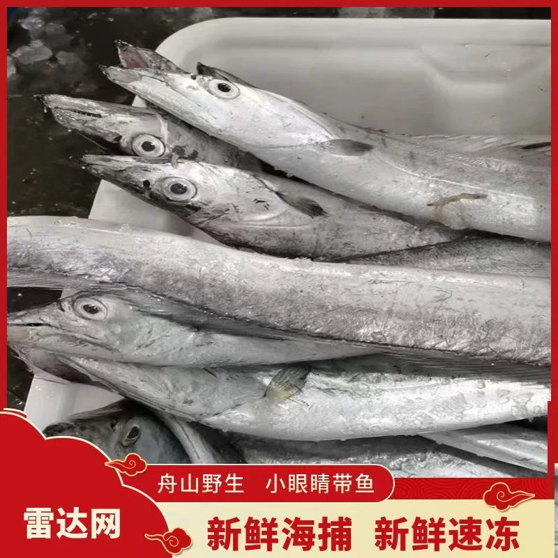 【出水价桶货】 正宗舟山新鲜小眼睛带鱼6-9两/条 整条发货舟山发货