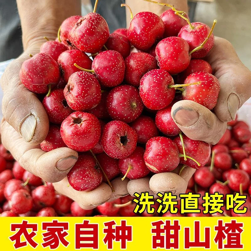 山东小小甜山楂500g