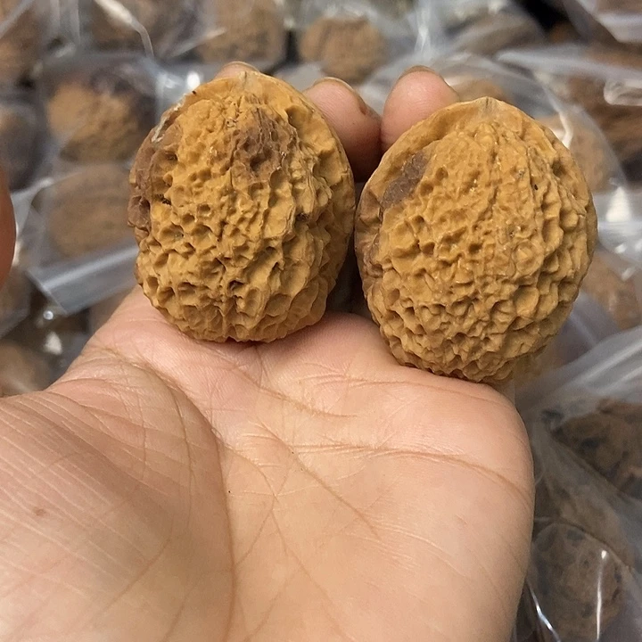 文玩核桃把件云南铁核桃基地27