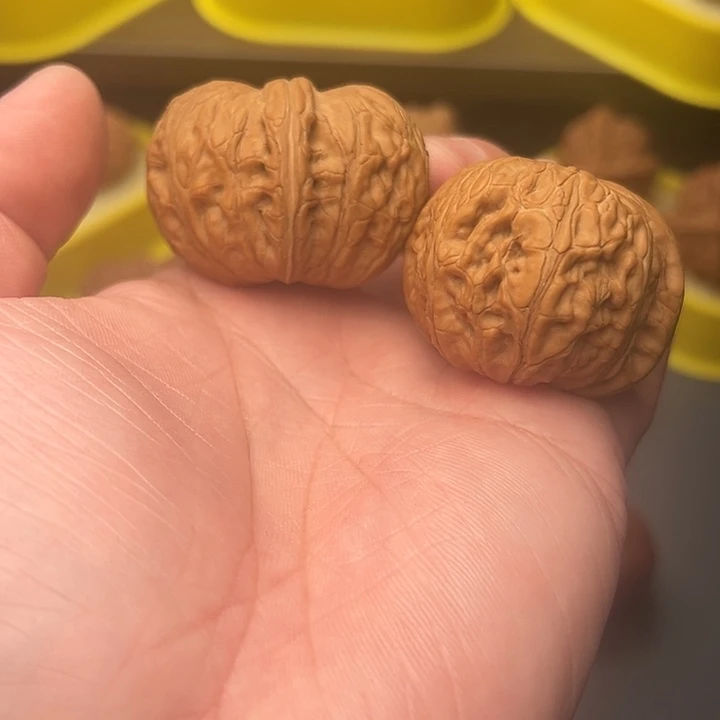 45尺精配头货球宝