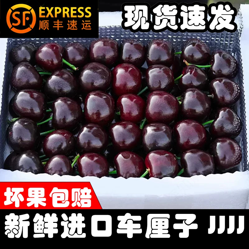 原箱J-5J智利海运桑提娜进口车厘子原箱樱桃1.8斤（内附果径卡）