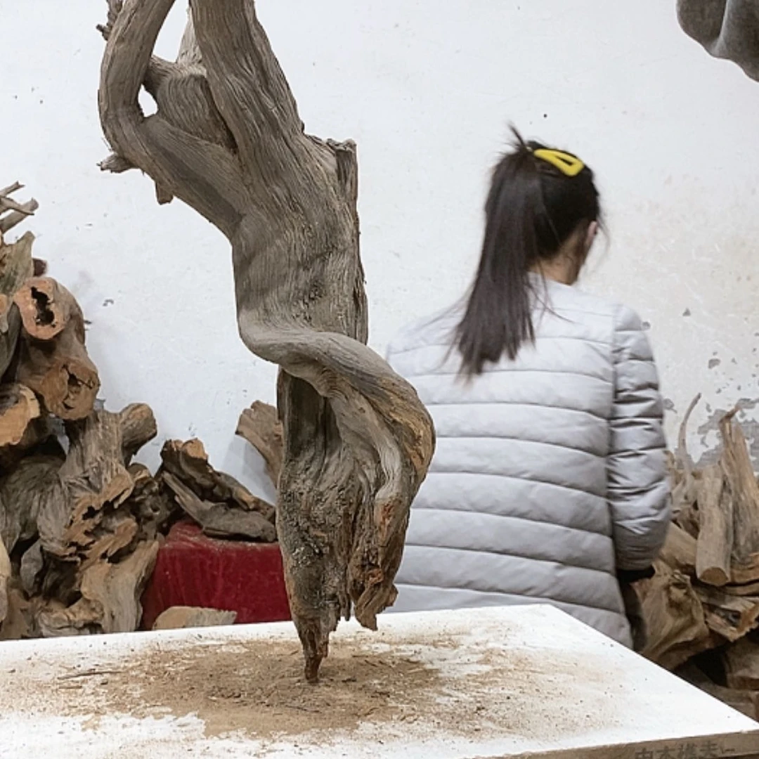 【闪购商品】柏木不**心我们都是好孩子