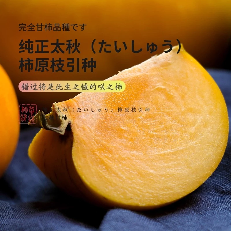【正宗太秋脆柿礼盒】金秋精美礼盒 脆甜新鲜广西特产当季无涩2kg