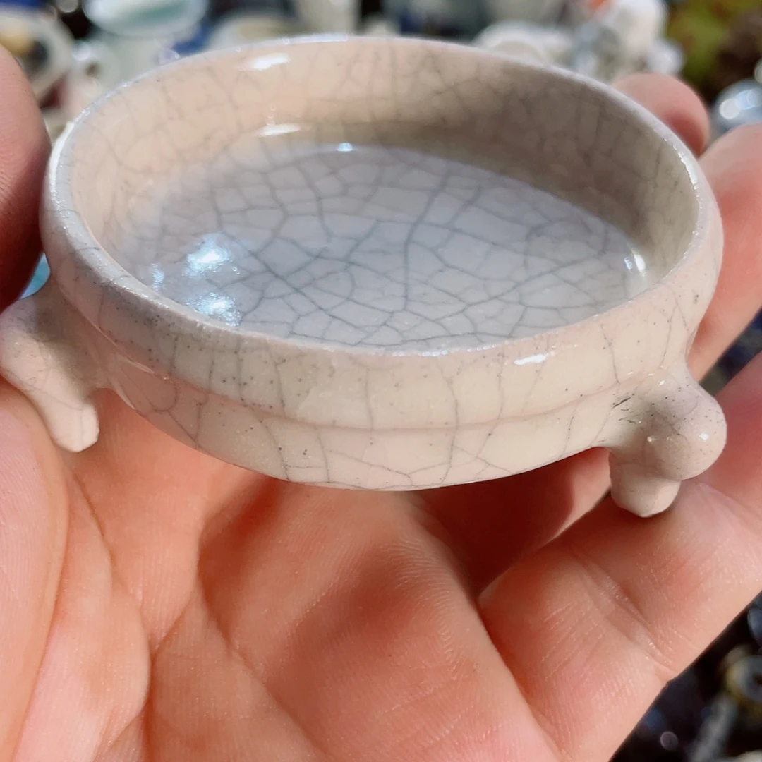 猫***咪我们的生活方式是什么时候