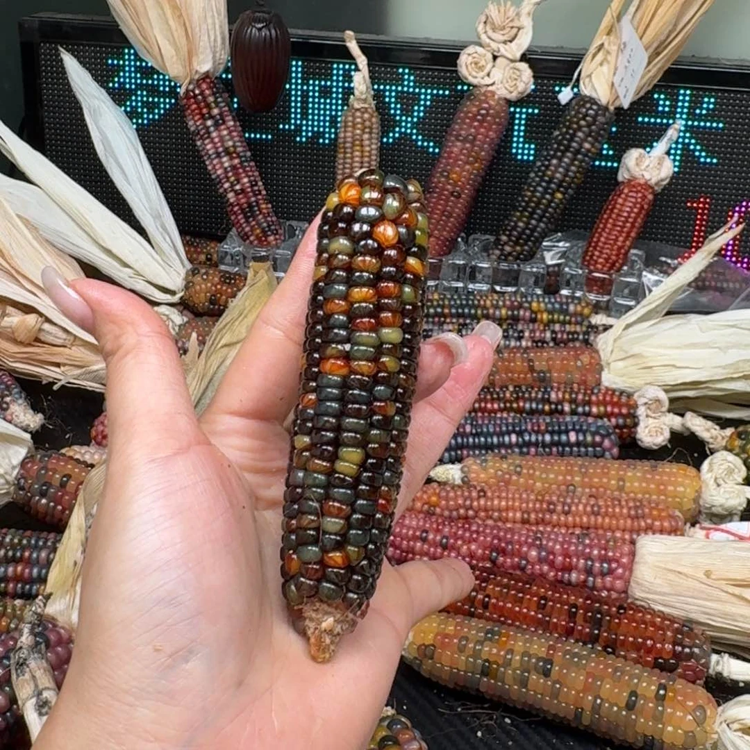 柏香籽/百香籽吊坠?**子