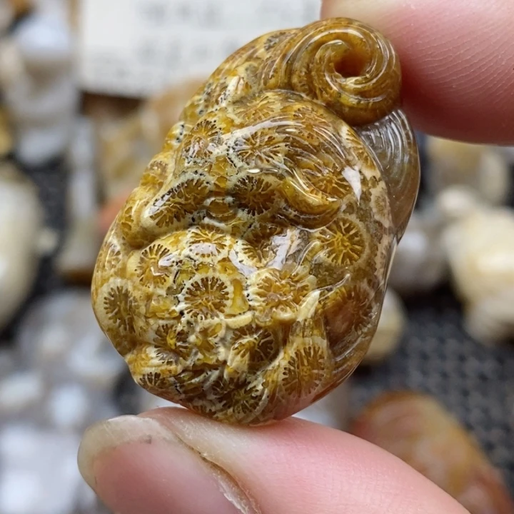 颈饰未镶嵌硅化珊瑚（珊瑚玉）有瑕 小