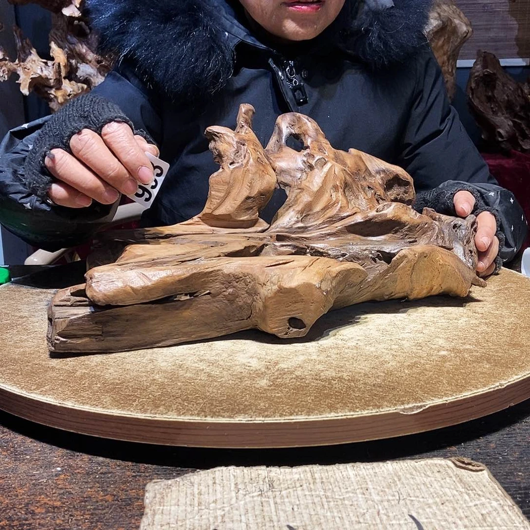 闲***绘993。株木随行根艺