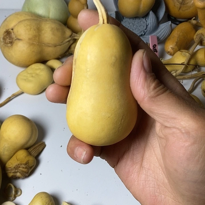 程***人青皮葫芦手把件葫芦