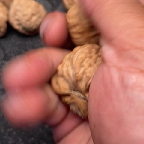 文玩核桃把件三角白10