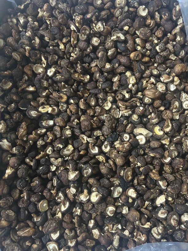 【大毛山货】云南中缅边境深山小香菇