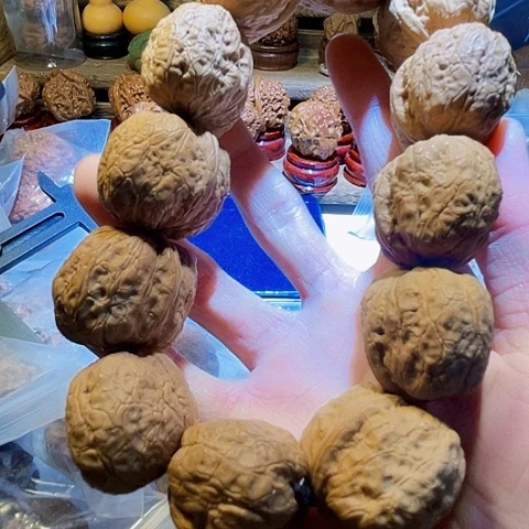 手串文玩核桃蟒纹元宝12粒36