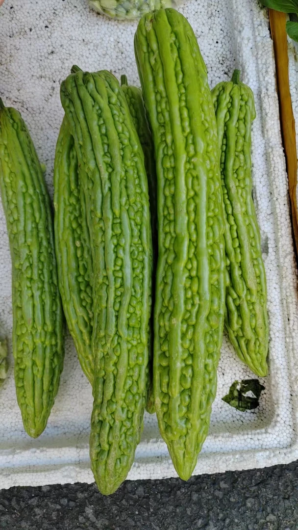 农家自种新鲜苦瓜（时令鲜蔬）