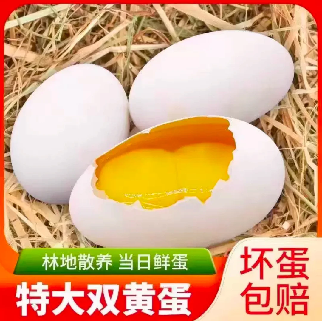 【特大双簧蛋】农家散养新鲜土鹅蛋一整箱批发鹅蛋现捡现发孕妇鹅蛋