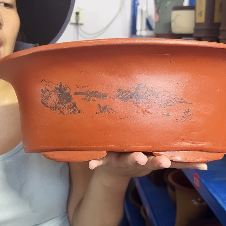 30红椭圆花盆花盆花盆×2