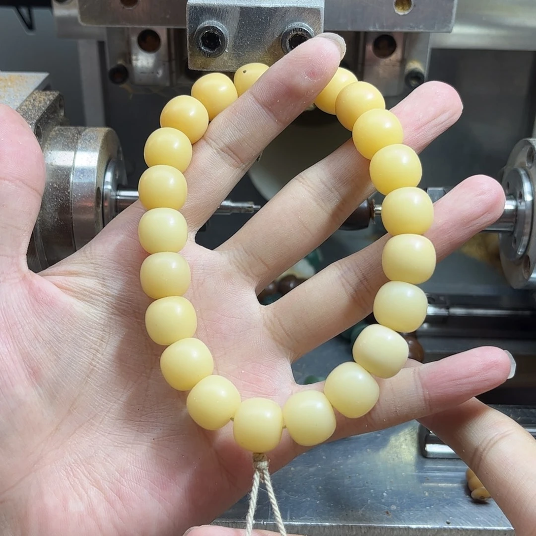 吊坠菩提根/象牙果