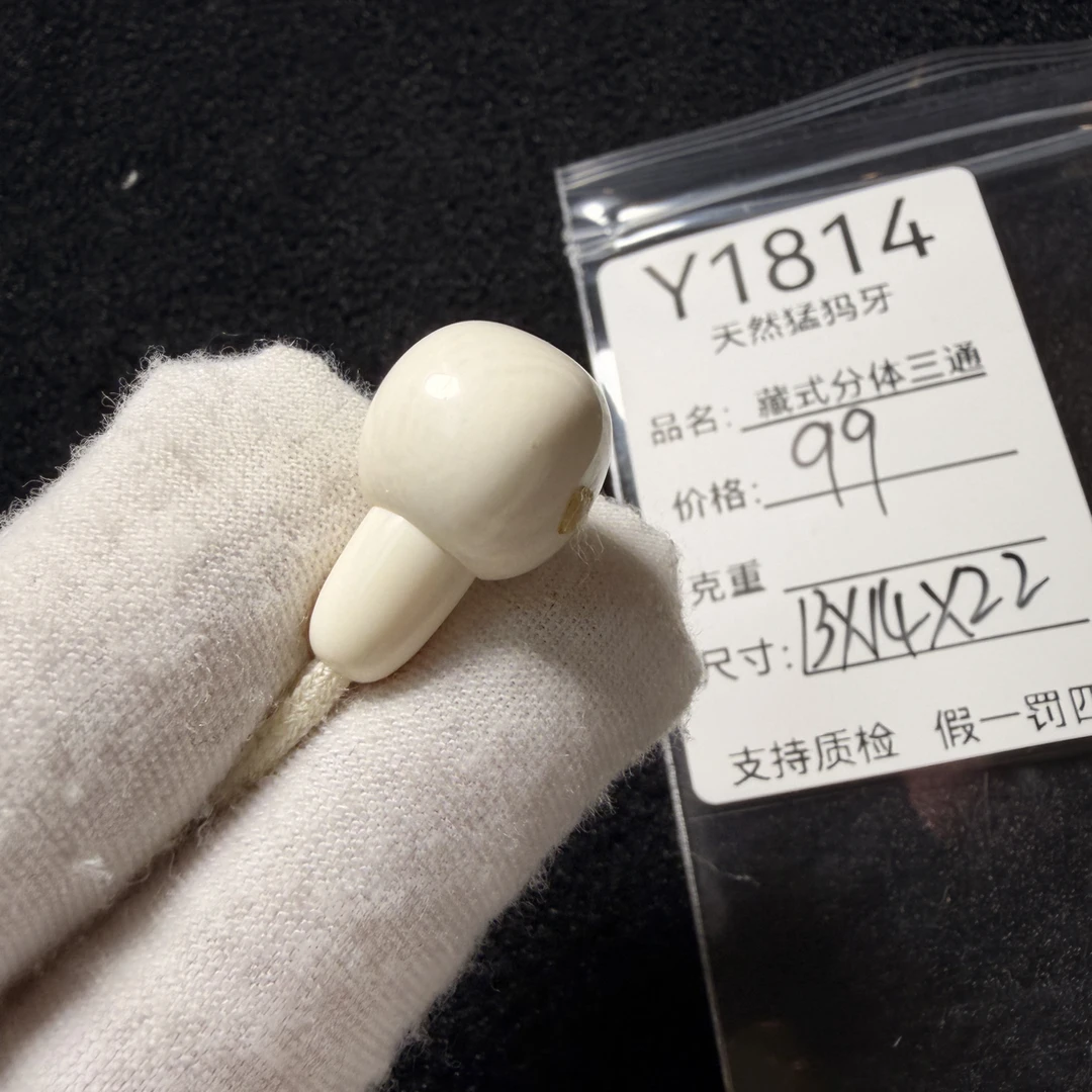 Y1814天然猛犸象牙胖墩藏式分体三通配饰冰料13*14*22mm水印