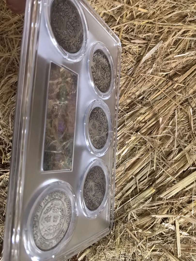 居家摆件 yy 居家摆件