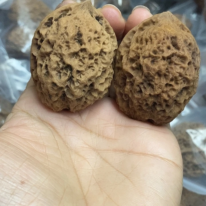 把件文玩核桃云南铁核桃基地29