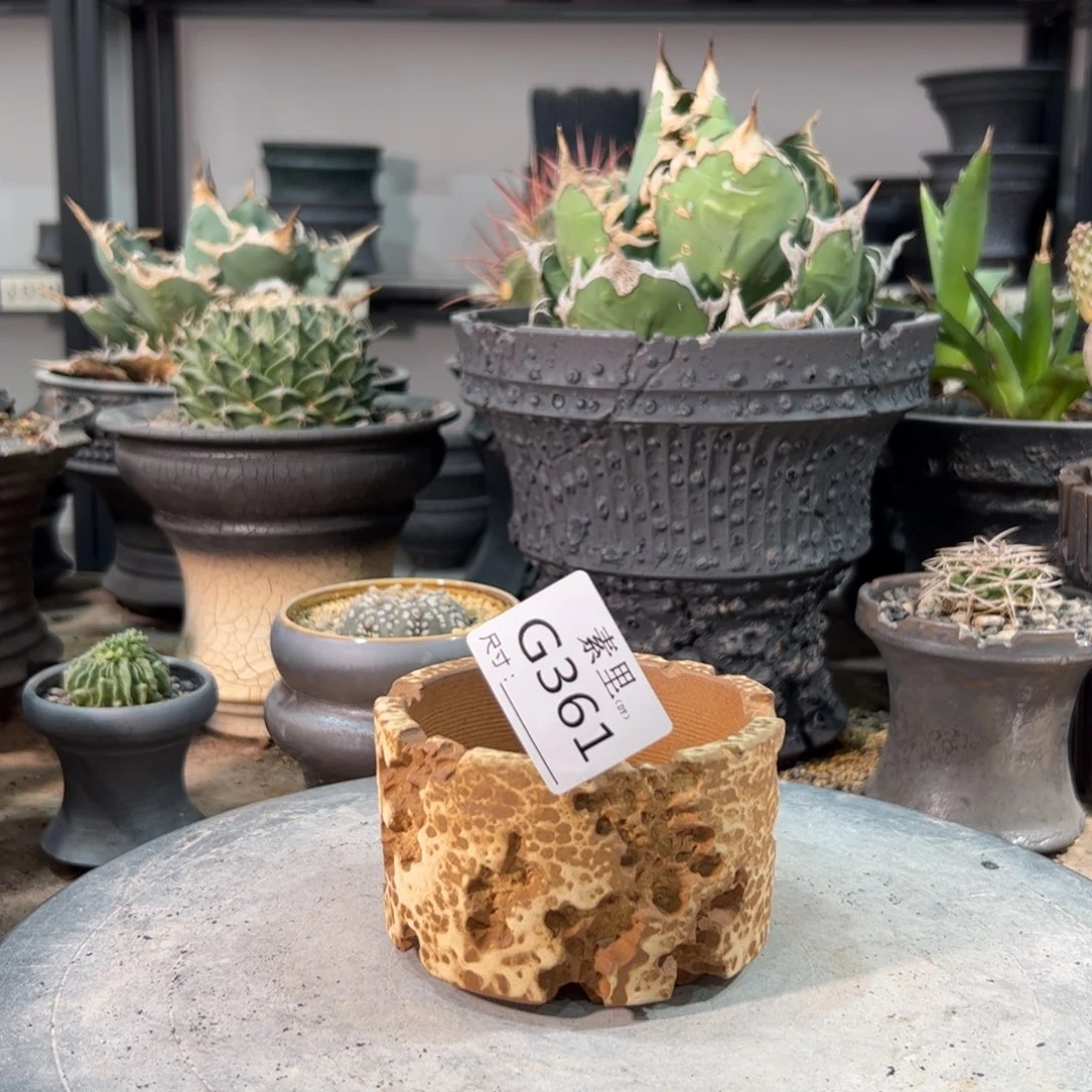 景德镇素里手工内口8.5高6