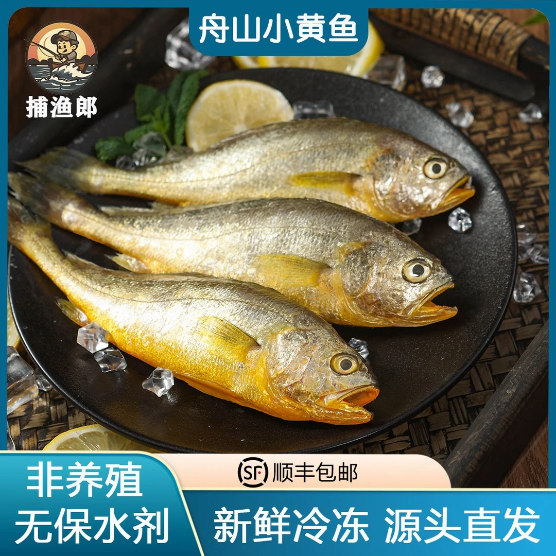 【大号】舟山小黄鱼新鲜冷冻非养殖黄花鱼深海捕捞冷链送
