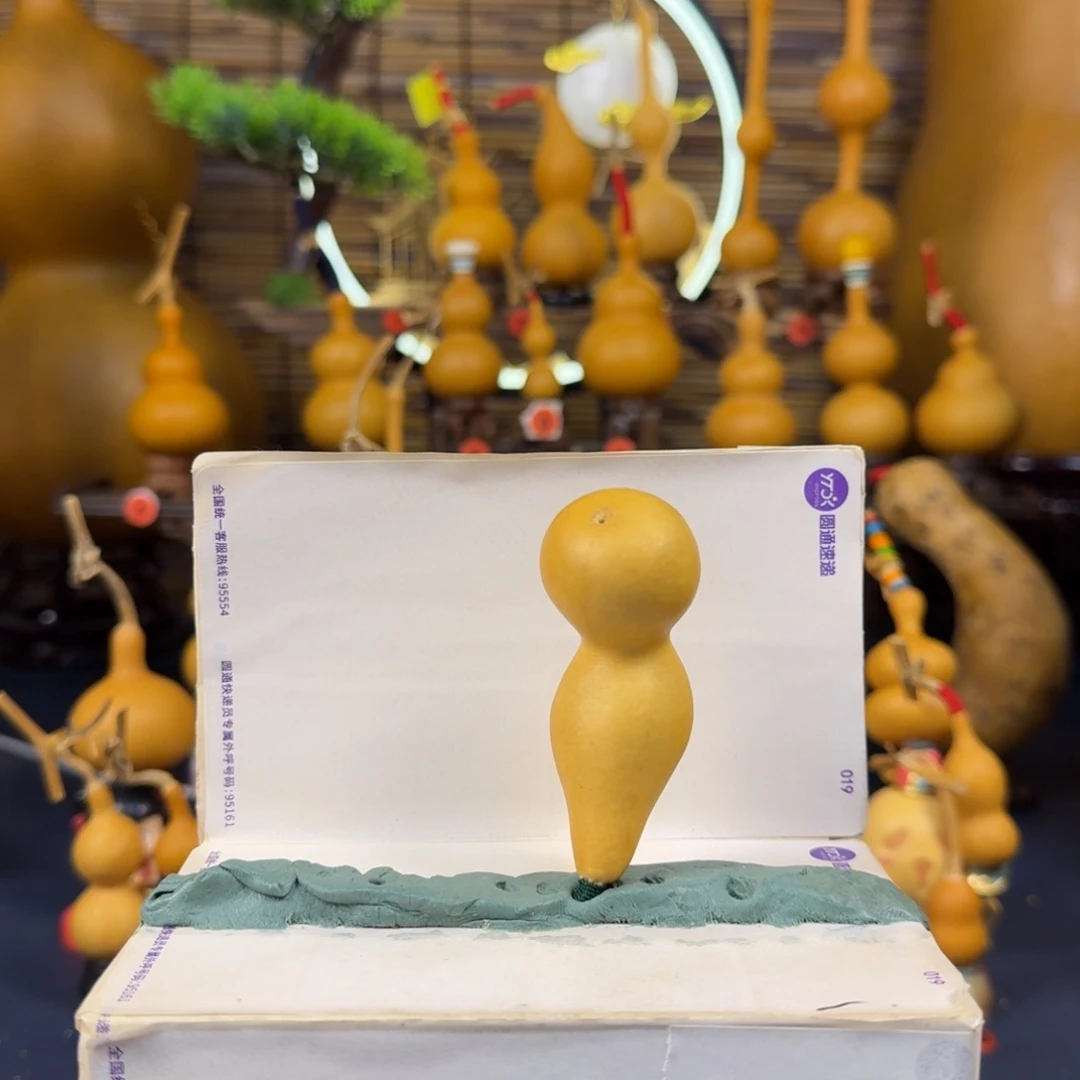 开***心文玩葫芦本捻侧脐