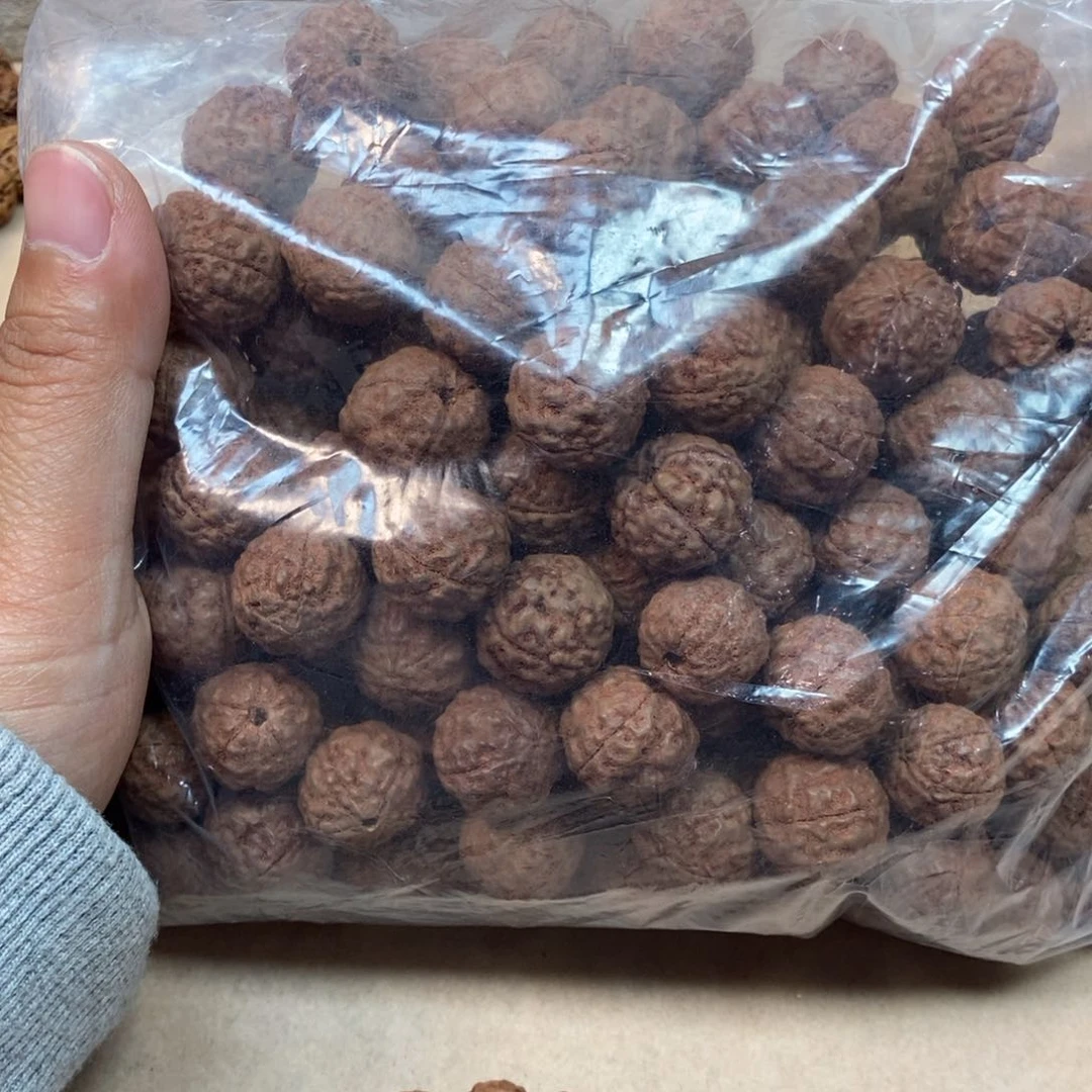 金刚菩提吊坠乐*团福利散籽无售后