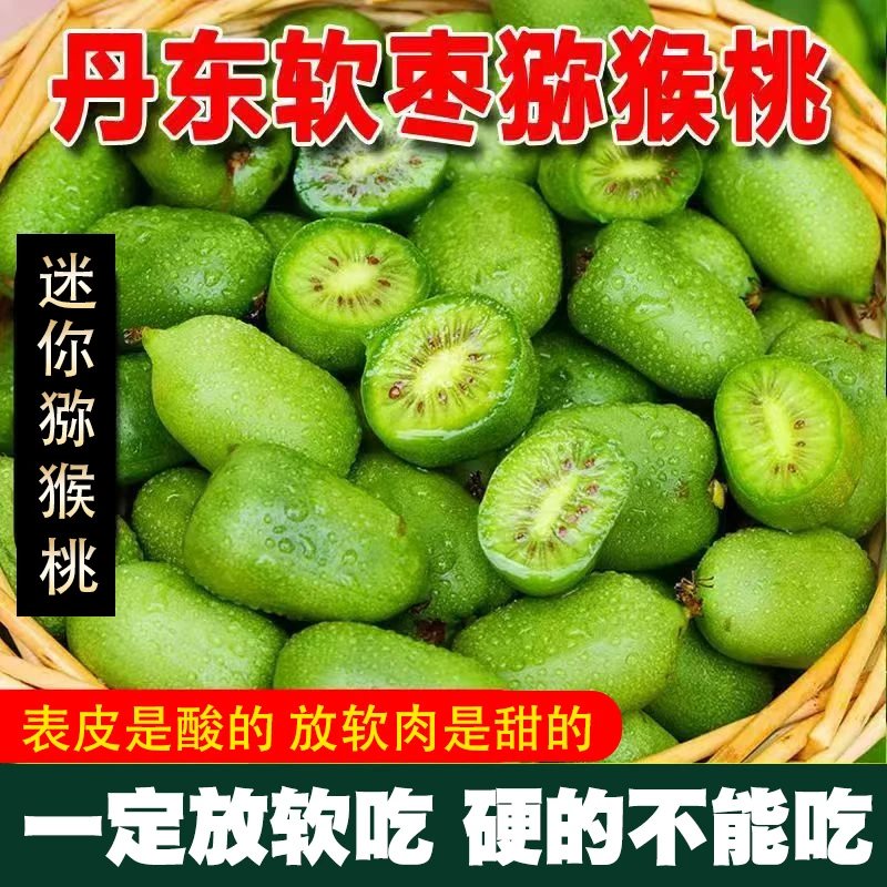 【务必放软吃】东北软枣猕猴桃奇异莓Vc小巨人【中大果一斤22-30个】