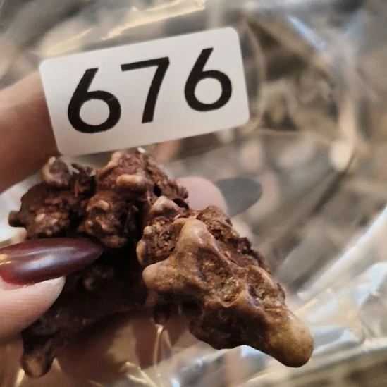 x***x鹿角鹿角鹿角鹿角鹿角鹿角