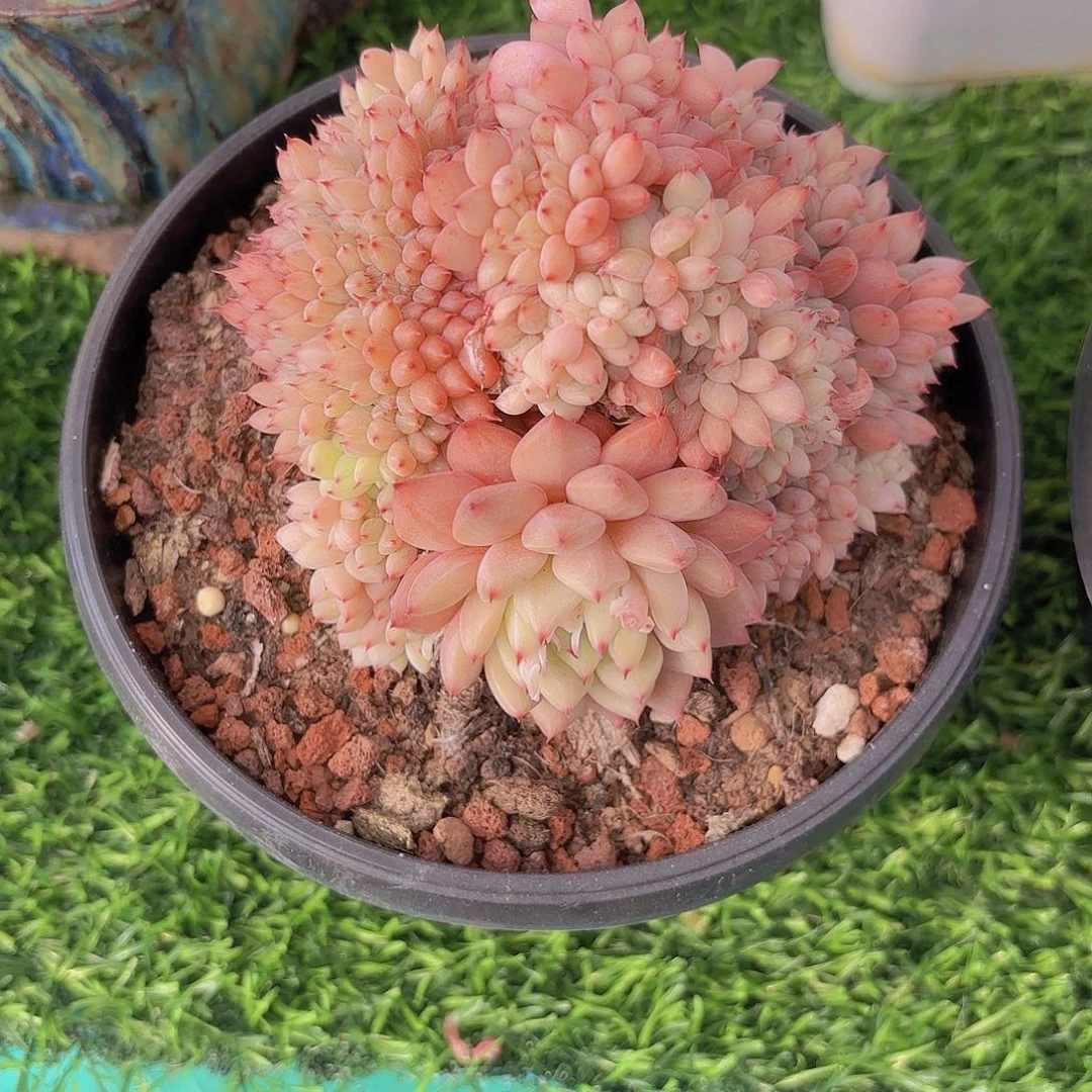 D*M我们要做的就是让你知道我是