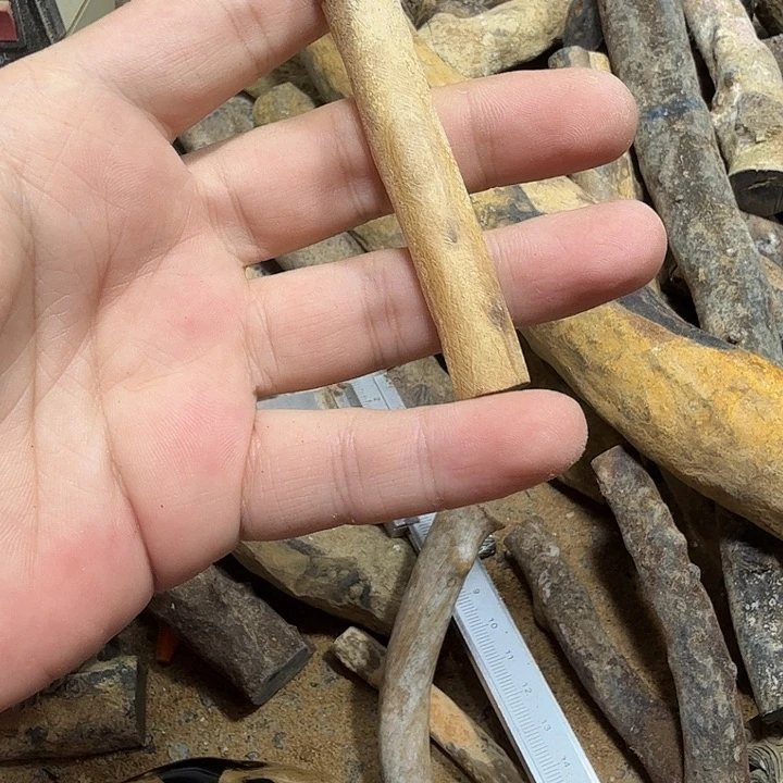 l****啊啊啊啊啊啊啊啊啊啊