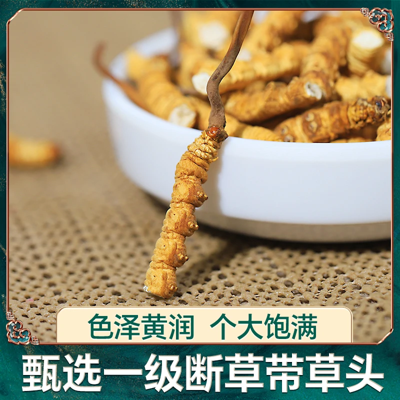 【冬虫夏草】一级断草-带草头断草24年新干断草甄选佳品冬虫夏草