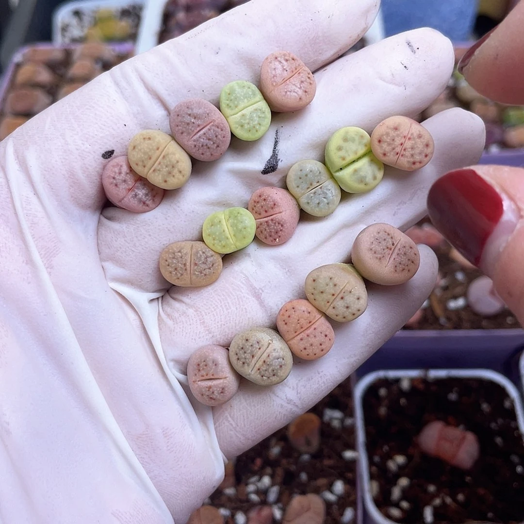 379 ……………………………………