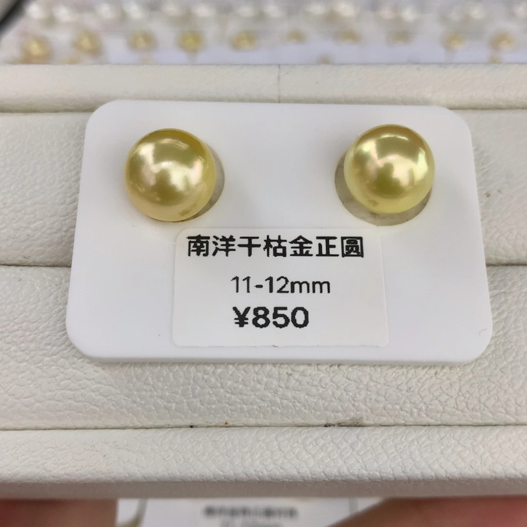 未镶嵌海水珍珠裸珠11-12mm干枯金正圆对珠