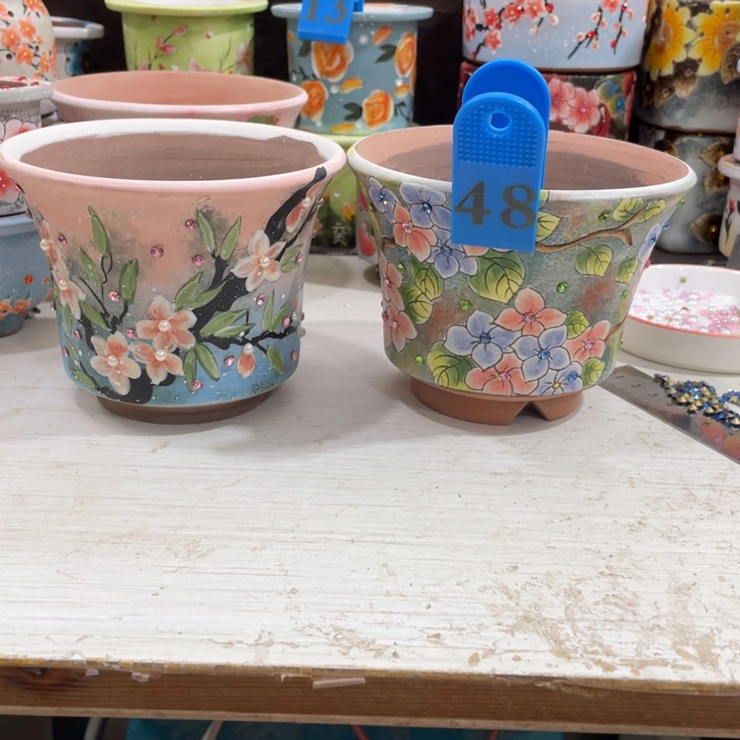 红陶?****s多肉花盆万象